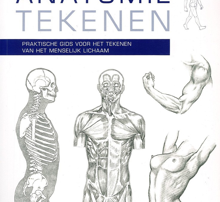 Anatomie tekenen
